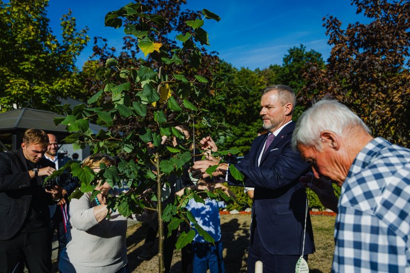 Prezident SR: Úcta k seniorom a solidarita medzi generáciami robia spoločnosť ľudskejšou Prezident SR: Úcta k seniorom a solidarita medzi generáciami robia spoločnosť ľudskejšou